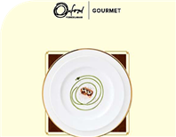 Oxford Porcelanas Gourmet  2010