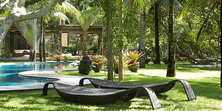 fotos jardim noticias:Tecto Notícias: Jardim Naturalista fotos jardim noticias:Tecto Notícias: Jardim Naturalista