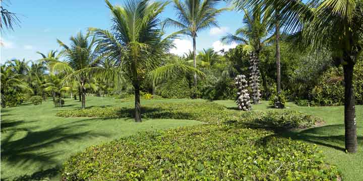 fotos jardim noticias:Tecto Notícias: Jardim Naturalista fotos jardim noticias:Tecto Notícias: Jardim Naturalista