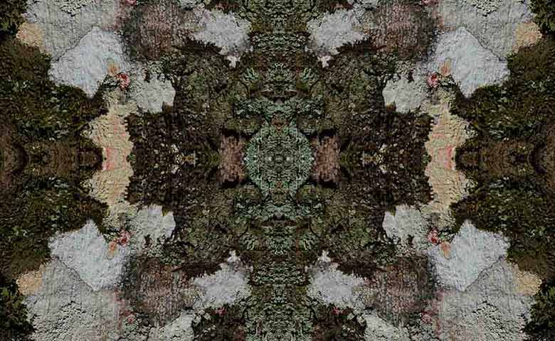 Natureza Art&iacute;stica