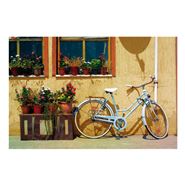 Quadro 018A Bicicleta