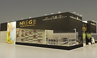 Stand Niege Adriana Galisteu 