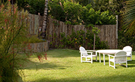 Jardim