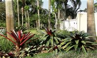 Jardim