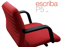 Escriba P5