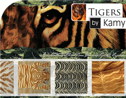 By Kamy Tigers