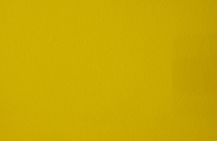 Filigranas por Carolina Ponte