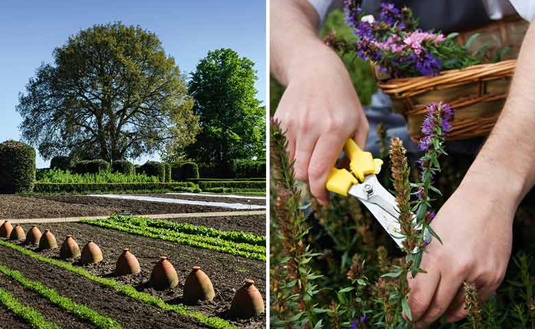 No meio do caminho entre Londres e Oxford, na Inglaterra, fica o Belmond Le Manoir Aux Quat’ Saisons, um destino que confirma: luxo, mesmo, só nas coisas simples da vida