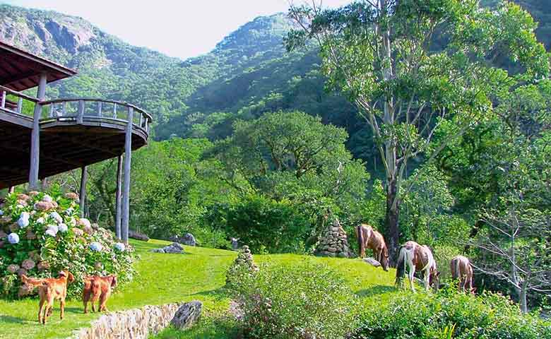 Aninhada com simplicidade e leveza sobre a sinuosidade da montanha tropical, o designer-surfista Carlos Motta ergueu seu retiro campestre numa espetacular área de preservação da Mata Atlântica
