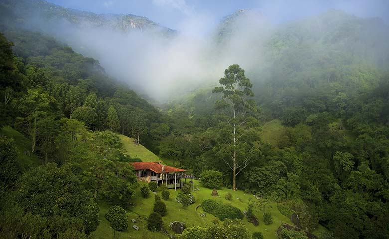 Aninhada com simplicidade e leveza sobre a sinuosidade da montanha tropical, o designer-surfista Carlos Motta ergueu seu retiro campestre numa espetacular área de preservação da Mata Atlântica